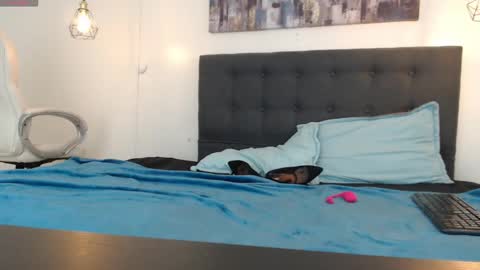 Snapshot of mysterious_girl42 chatting on 01.05.25 No Name online show from 01.05.25