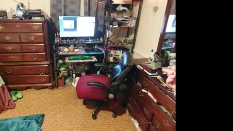 Snapshot of mysteryblue62 chatting on 03.07.25 Mystery Blue and Mistress Prude online show from 03.07.25