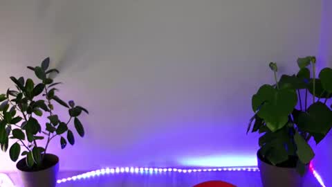  Eve  online show from 10.11.25