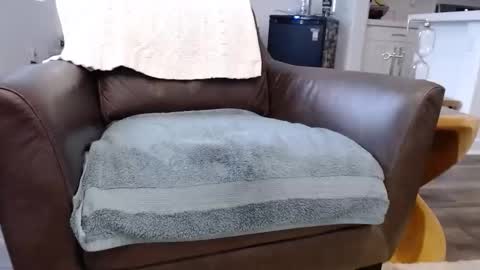 Lynn online show from 11.10.25