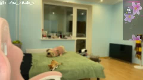 Snapshot of na_prikole_ chatting on 10.24.25 Vanessa and Julia  online show from 10.24.25