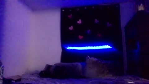 Snapshot of nadiabella07 chatting on 02.15.26 Missbellaaaxox online show from 02.15.26