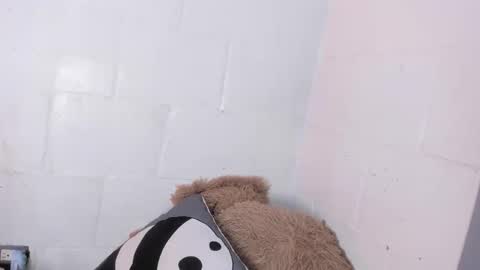 nala_sc online show from 06.03.26