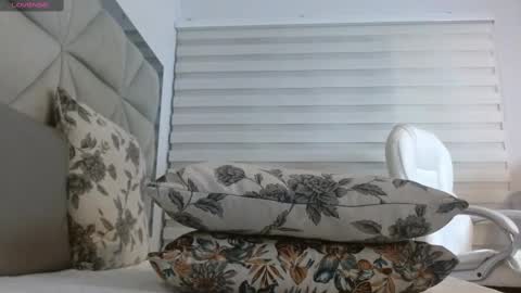 Snapshot of nana_levy chatting on 02.23.25 Nana levy online show from 02.23.25