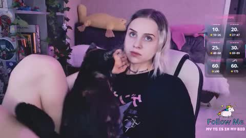 Monday-Friday 12-4 AM and 6-9 AM New York time online show from 03.13.26