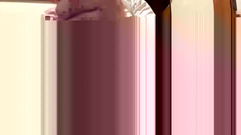 Snapshot of naoki46491 chatting on 10.29.25 naoki46491 online show from 10.29.25