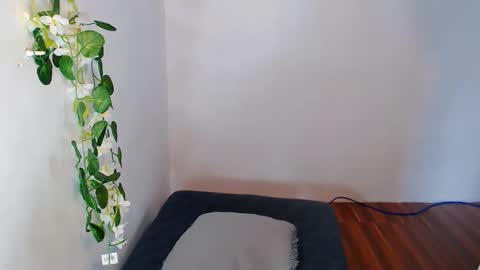 nashdiam online show from 11.30.25