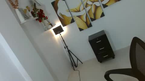 Snapshot of nasty_valeria chatting on 01.24.25 VALERIA online show from 01.24.25