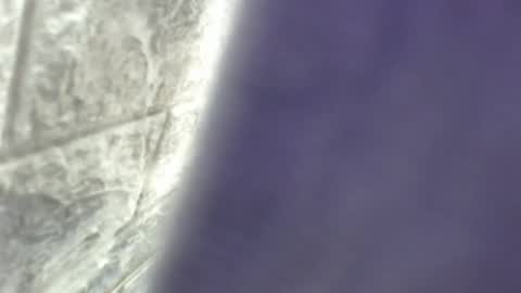 Snapshot of natalieevansx chatting on 11.16.25 natalieevansx online show from 11.16.25