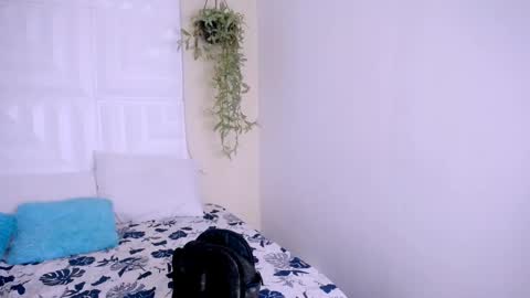 NATALY online show from 04.25.26