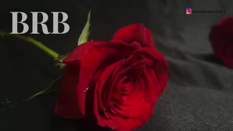 Snapshot of nataly_velez chatting on 03.08.25 Naty online show from 03.08.25