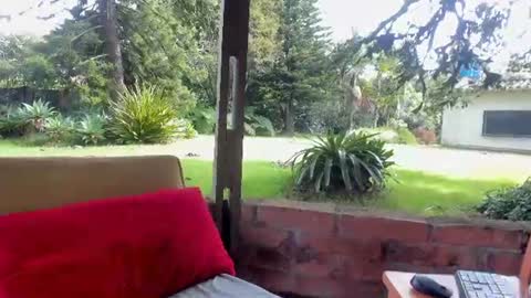 Snapshot of natashadiamondd chatting on 06.23.26 NatashaDiamond online show from 06.23.26