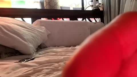 Snapshot of nativeboi22 chatting on 02.03.25 Haven online show from 02.03.25