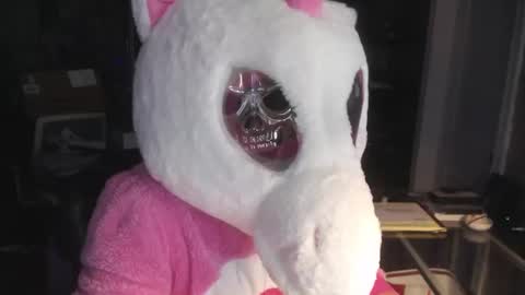 Natte online show from 11.01.25