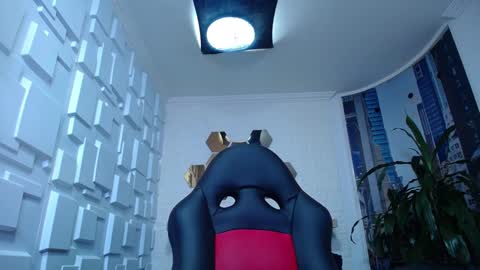 Kitten online show from 12.28.24