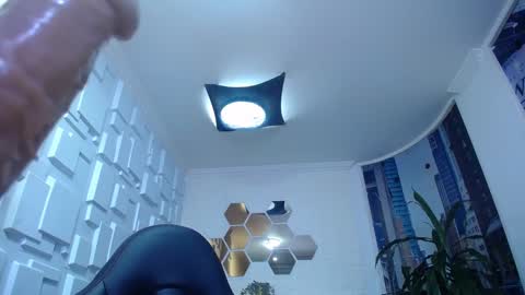 Kitten online show from 12.28.24
