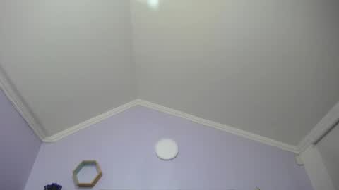 Kitten online show from 01.25.25