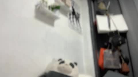 your girlfriend mira online show from 04.02.26