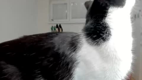 naughtysabine1 online show from 02.06.25