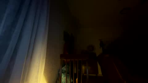 nboss55 online show from 10.08.25