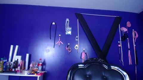 Snapshot of nectarshop chatting on 12.12.24 Camille online show from 12.12.24