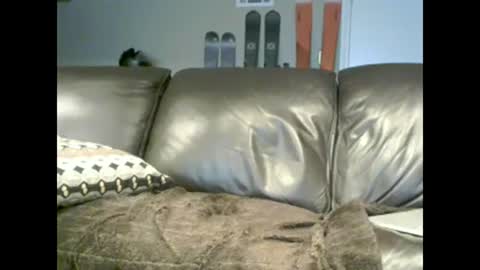 Jack online show from 01.05.25