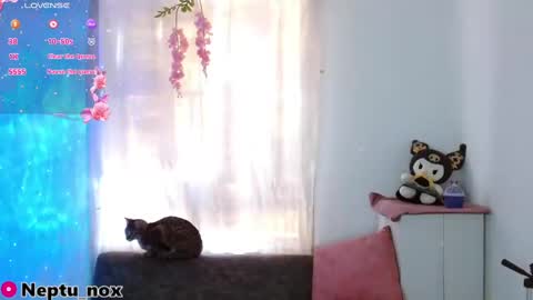 Snapshot of neptu_noxx chatting on 01.31.25 Neptu noxx online show from 01.31.25