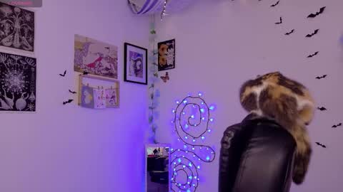 Mar online show from 02.03.26