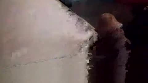 Matt online show from 11.23.25