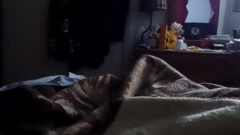 Matt online show from 01.15.26