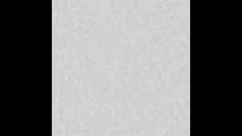 nevets7583 online show from 02.14.25