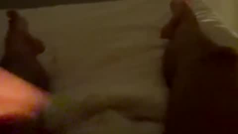 new25cam online show from 01.10.26