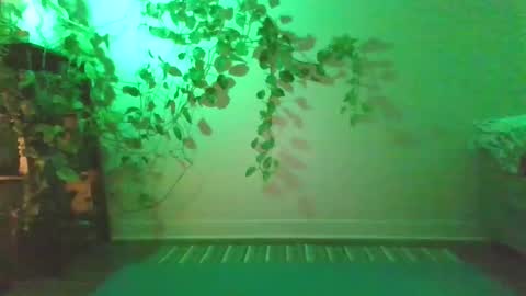 luna online show from 12.27.24