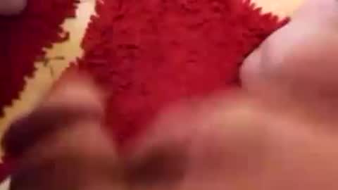 BookWriter online show from 12.31.24