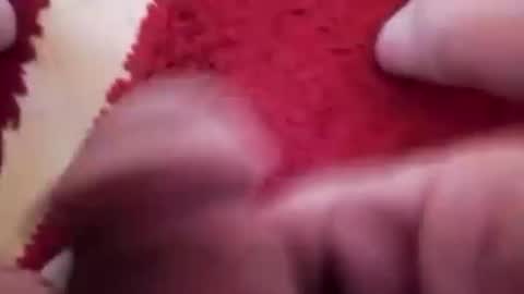 BookWriter online show from 01.20.25