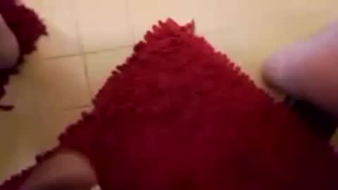 BookWriter online show from 02.15.25