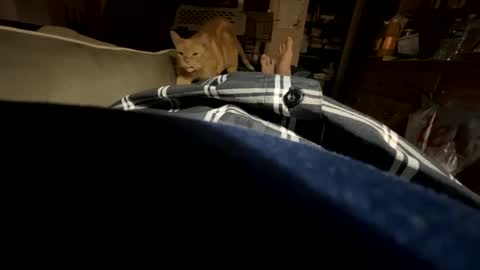 Snapshot of ngianop chatting on 10.23.25 ngianop online show from 10.23.25