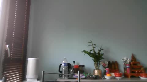 nguyen7788789 online show from 08.04.26