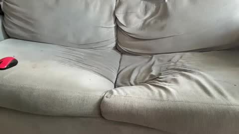 NH online show from 12.07.24