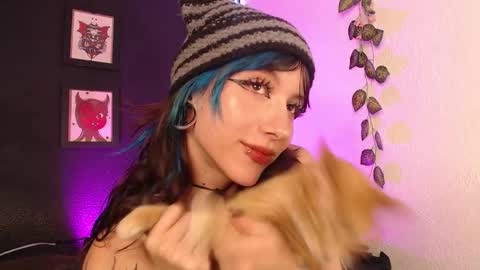  niakat  online show from 03.11.26