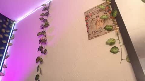  niakat  online show from 03.21.26