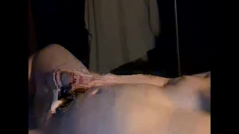 nic6413 online show from 12.04.25