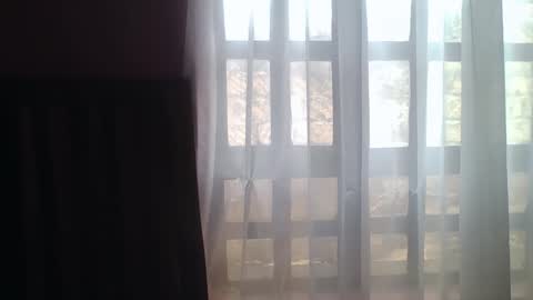 Lilly online show from 11.14.25