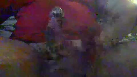 nice_cock8080 online show from 01.12.26