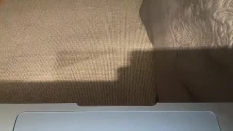 Nice Gentle Naughty online show from 07.28.26