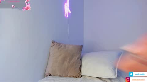 Snapshot of niceariel chatting on 02.04.26 Ariel online show from 02.04.26