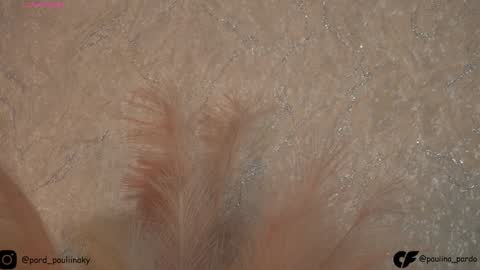 nichole__evans online show from 12.16.24