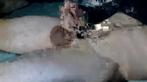 Snapshot of nickanonymous1034 chatting on 10.12.25 Nick online show from 10.12.25