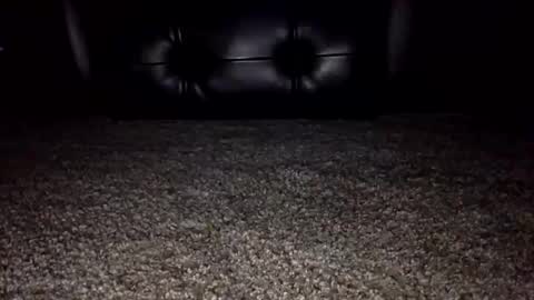 Snapshot of nickk2291 chatting on 10.06.25 nickk2291 online show from 10.06.25