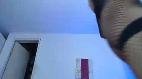 sammy hoot online show from 12.29.24